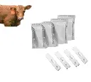 Untitled design (1).webp