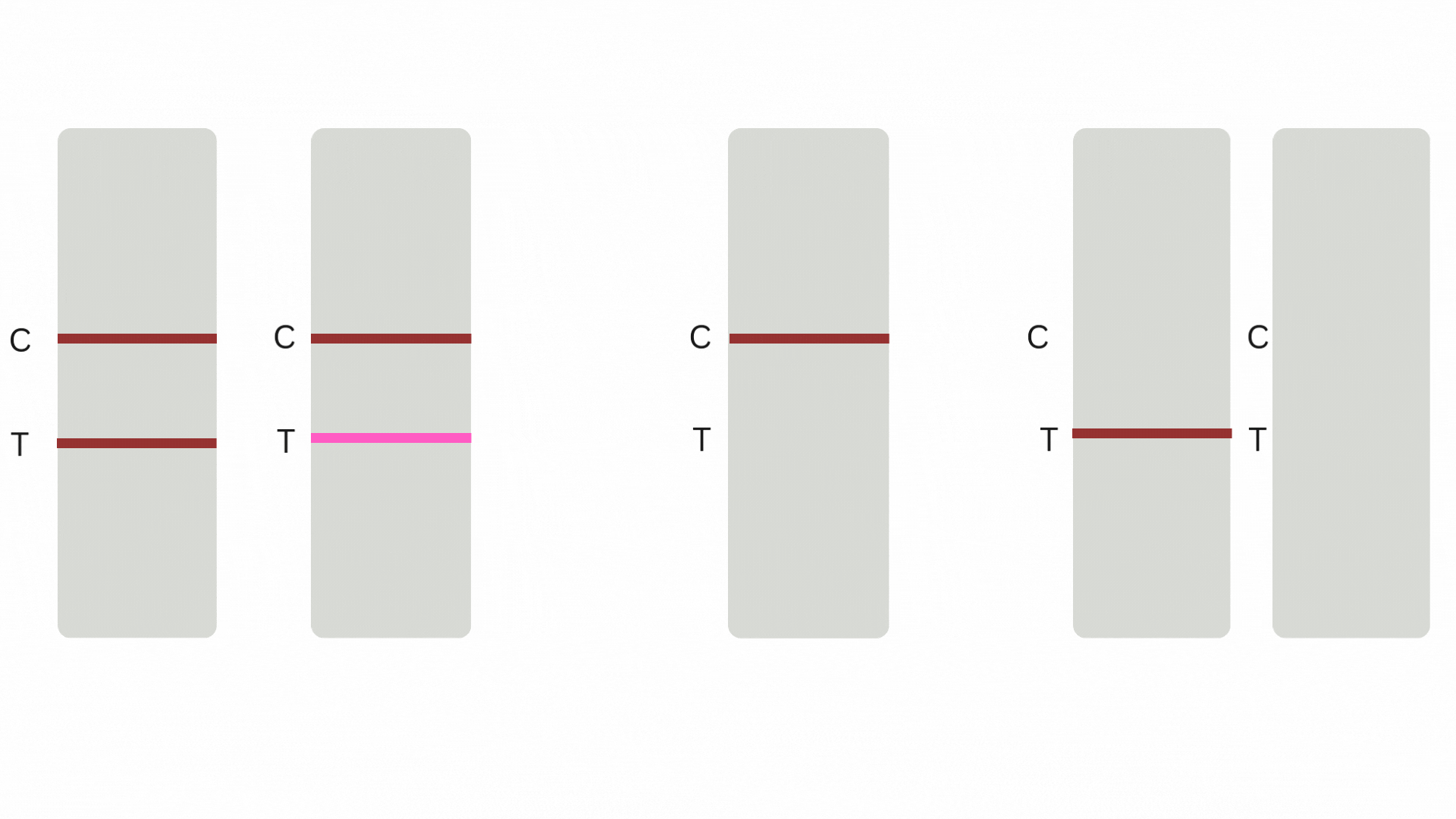 c (3).gif