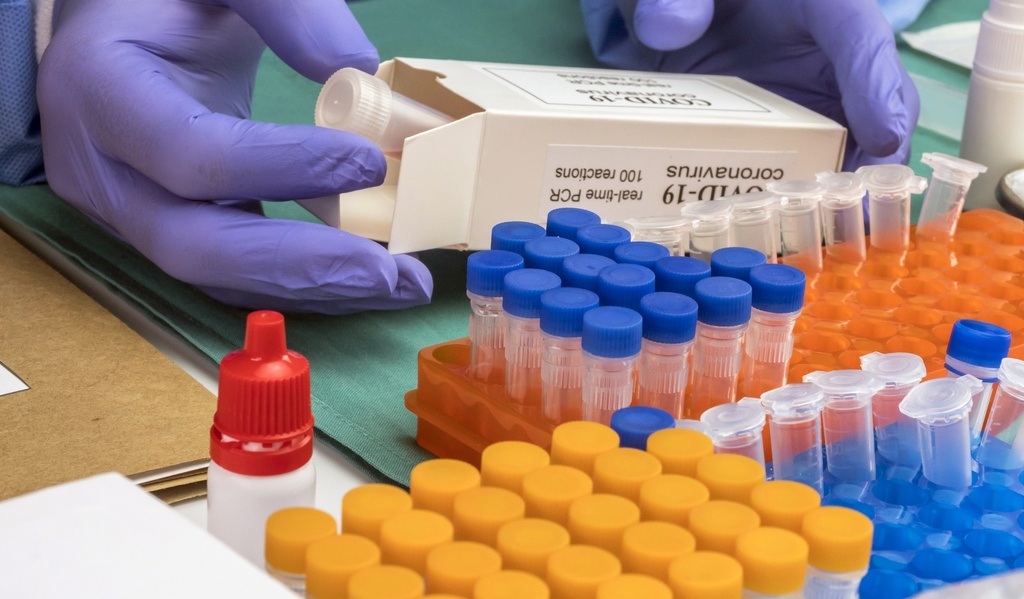 Mouse Surfactant Associated Protein D
