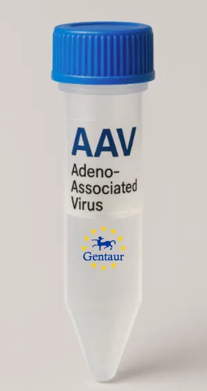 Skint4 AAV Vector (Mouse) (CMV)