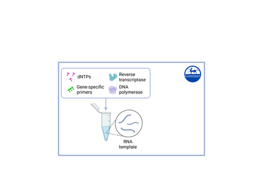 [M24MD100T] RT PCR Test Kits  SARS-CoV-2
